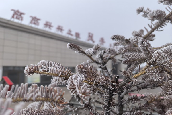 6743df1ab612d.jpg 01.jpg